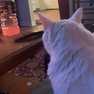 Meet your Posher, James